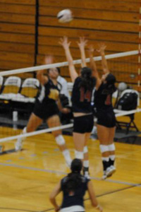 Sterling Volleyball.jpg